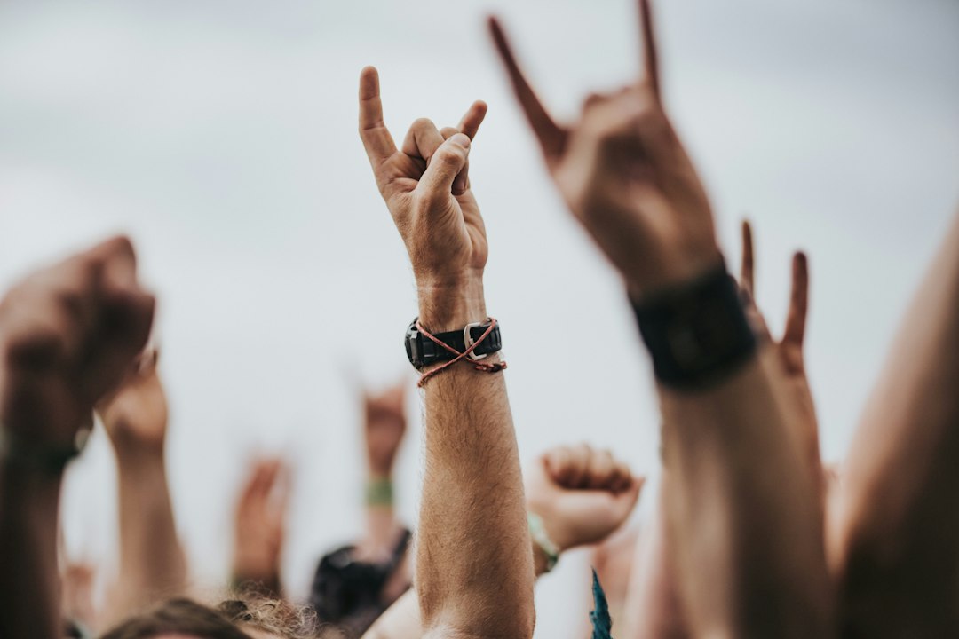 Photo music festival